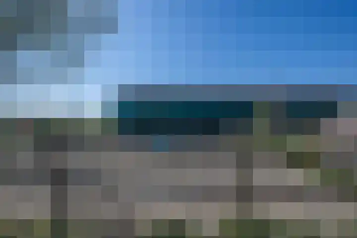 Rietbroekweg 2 Spijkenisse thumbnail 34