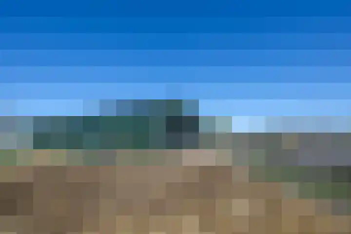 Rietbroekweg 2 Spijkenisse thumbnail 36