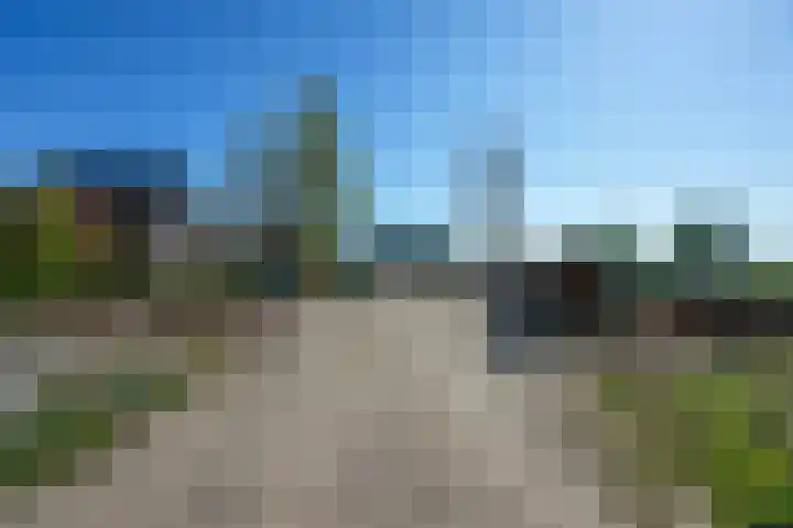 Rietbroekweg 2 Spijkenisse thumbnail 4