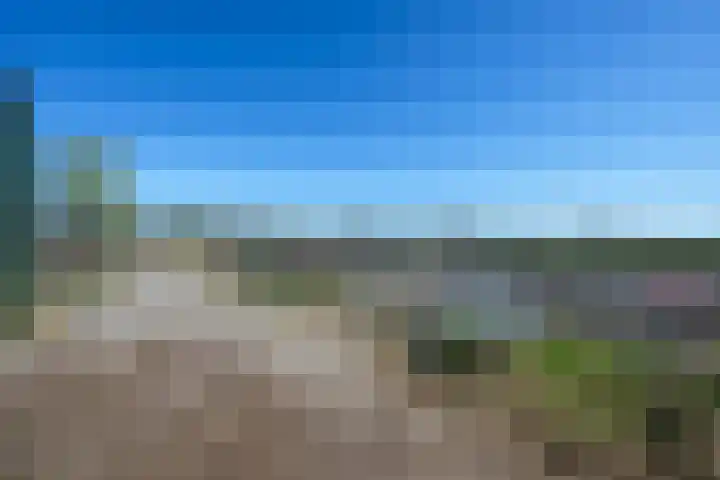 Rietbroekweg 2 Spijkenisse thumbnail 43