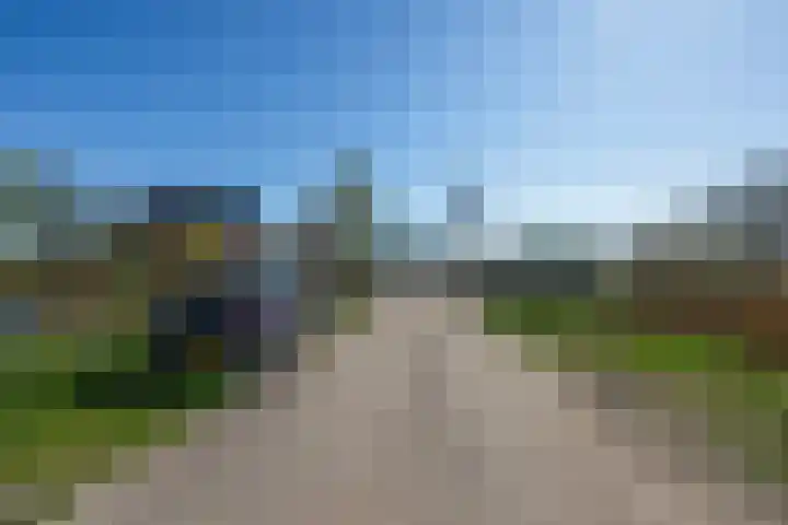 Rietbroekweg 2 Spijkenisse thumbnail 48