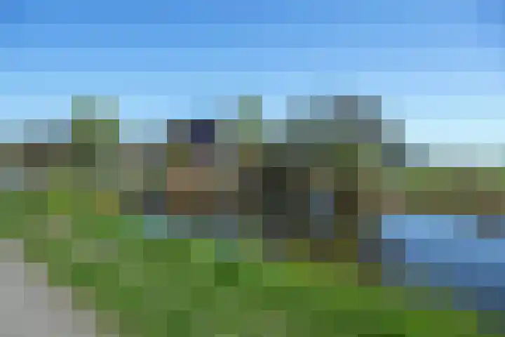 Rietbroekweg 2 Spijkenisse thumbnail 50