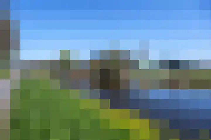 Rietbroekweg 2 Spijkenisse thumbnail 51