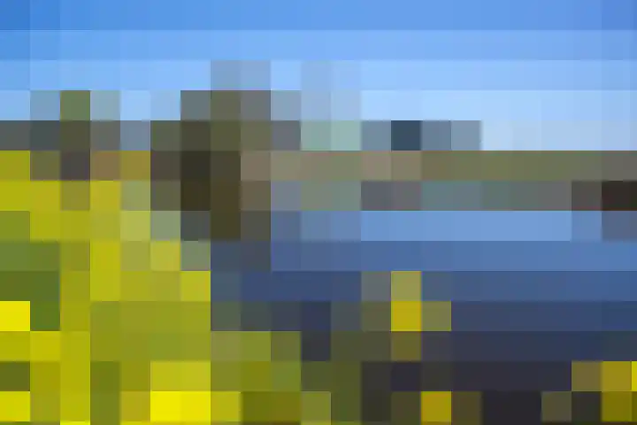 Rietbroekweg 2 Spijkenisse thumbnail 53