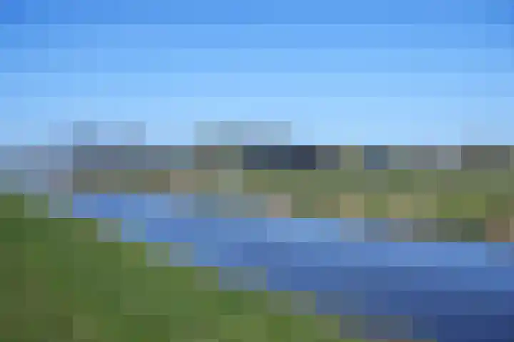 Rietbroekweg 2 Spijkenisse thumbnail 55