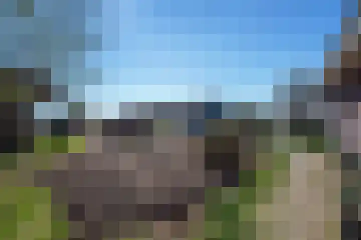 Rietbroekweg 2 Spijkenisse thumbnail 9