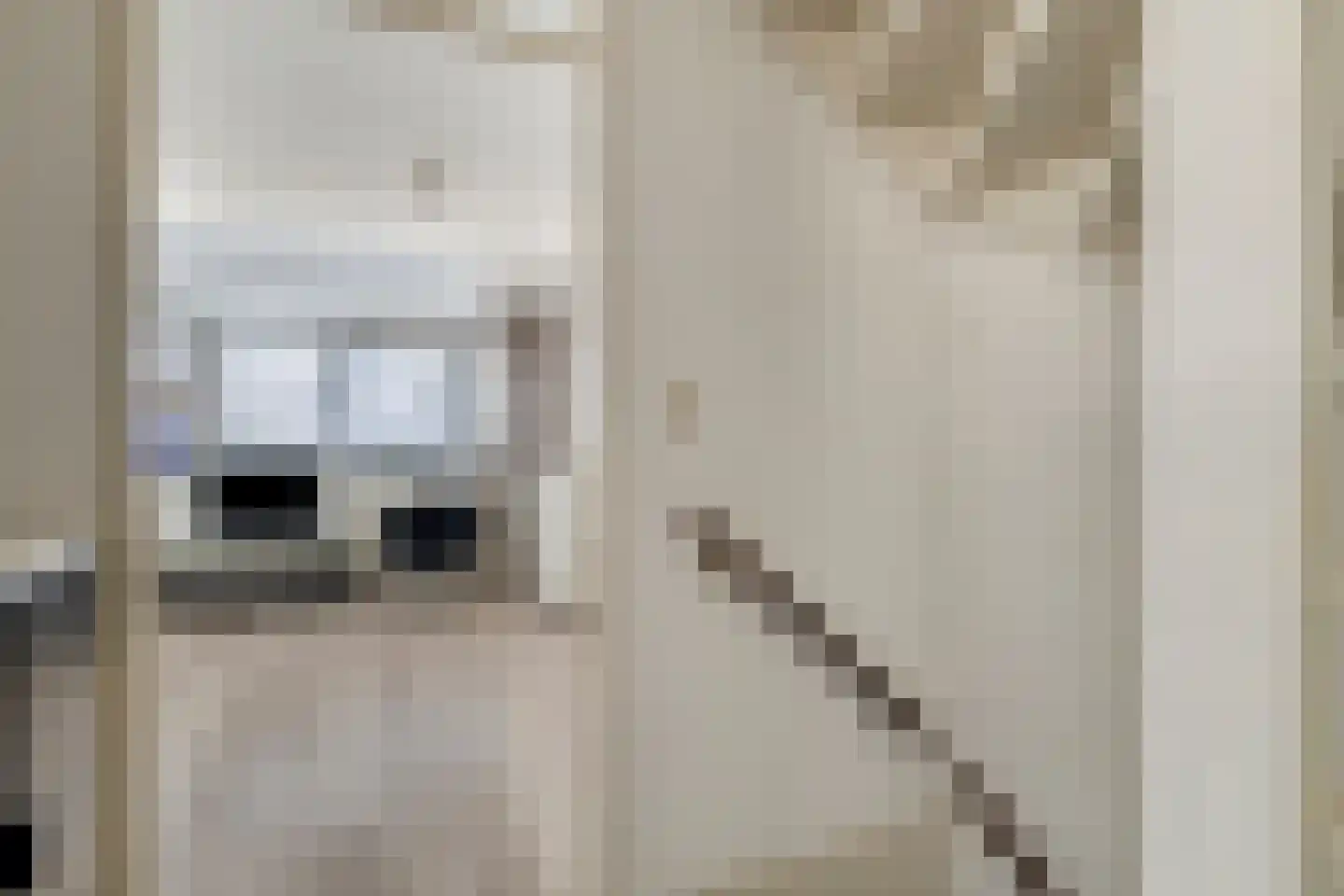 Rietdekker 1 Poortugaal thumbnail 14