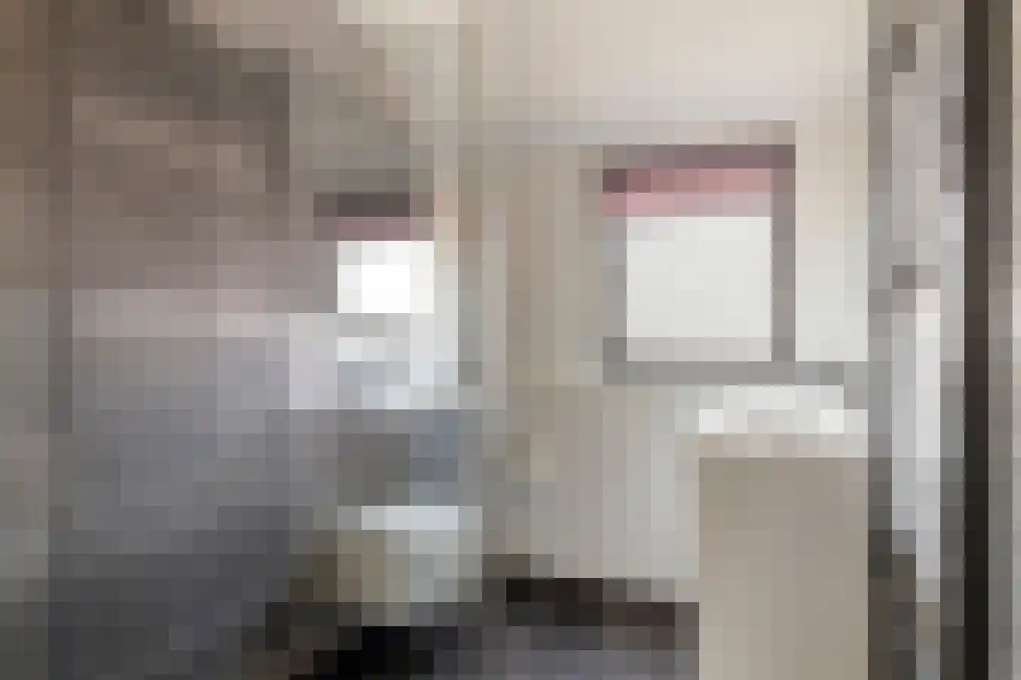 Rietdekker 1 Poortugaal thumbnail 19