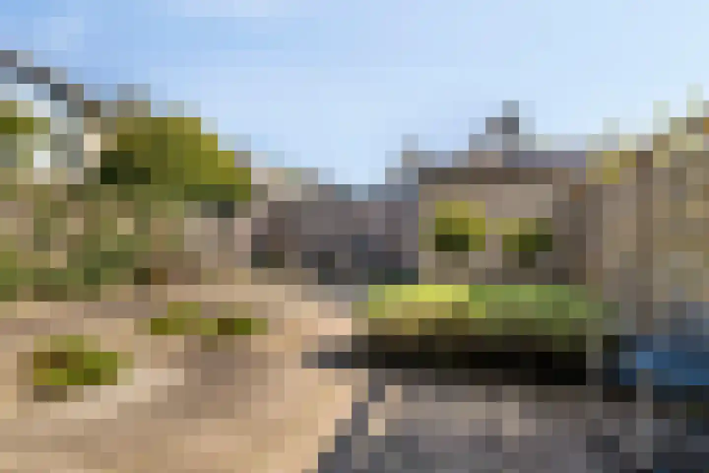 Rietdekker 1 Poortugaal thumbnail 25