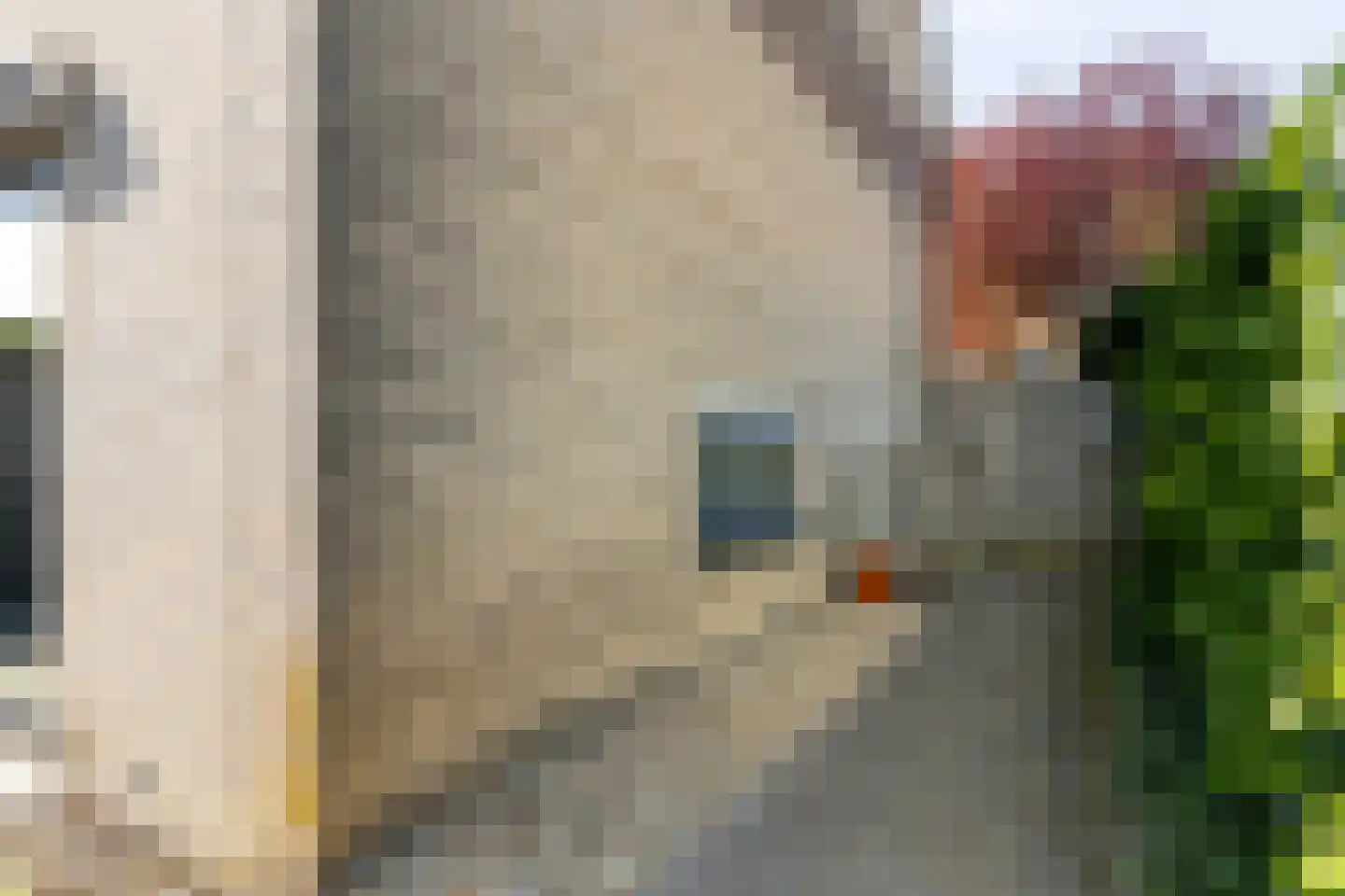 Rietdekker 1 Poortugaal thumbnail 30