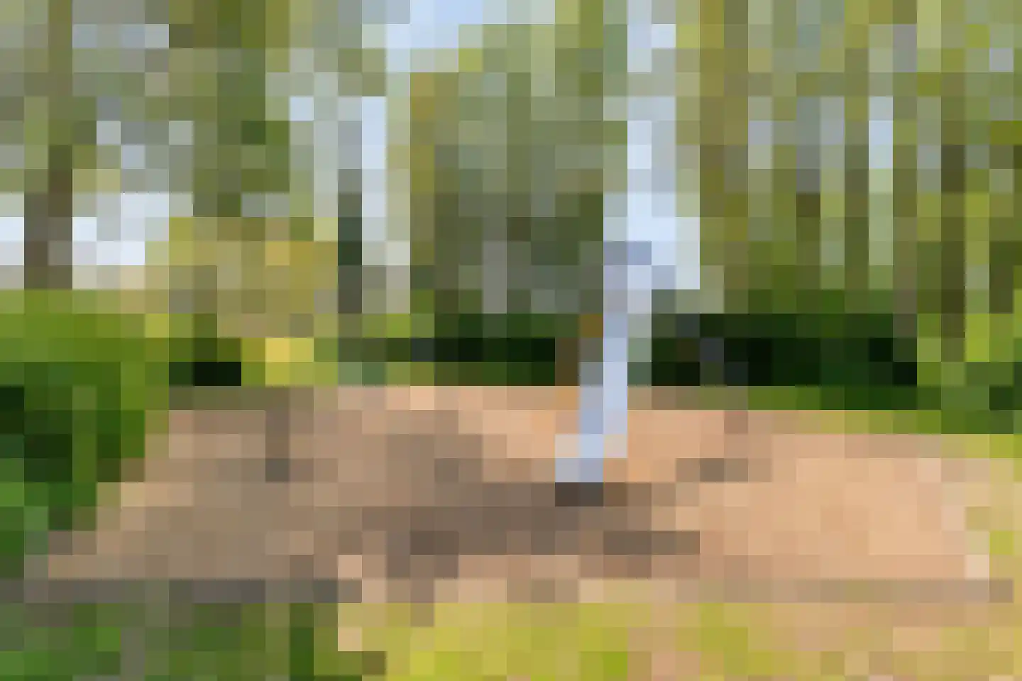 Rietdekker 1 Poortugaal thumbnail 36