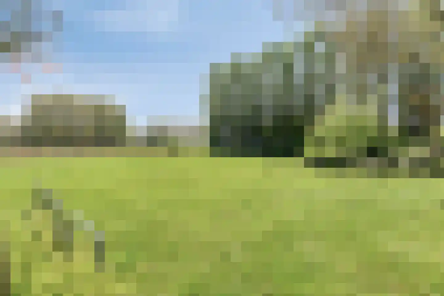 Rietdekker 1 Poortugaal thumbnail 37