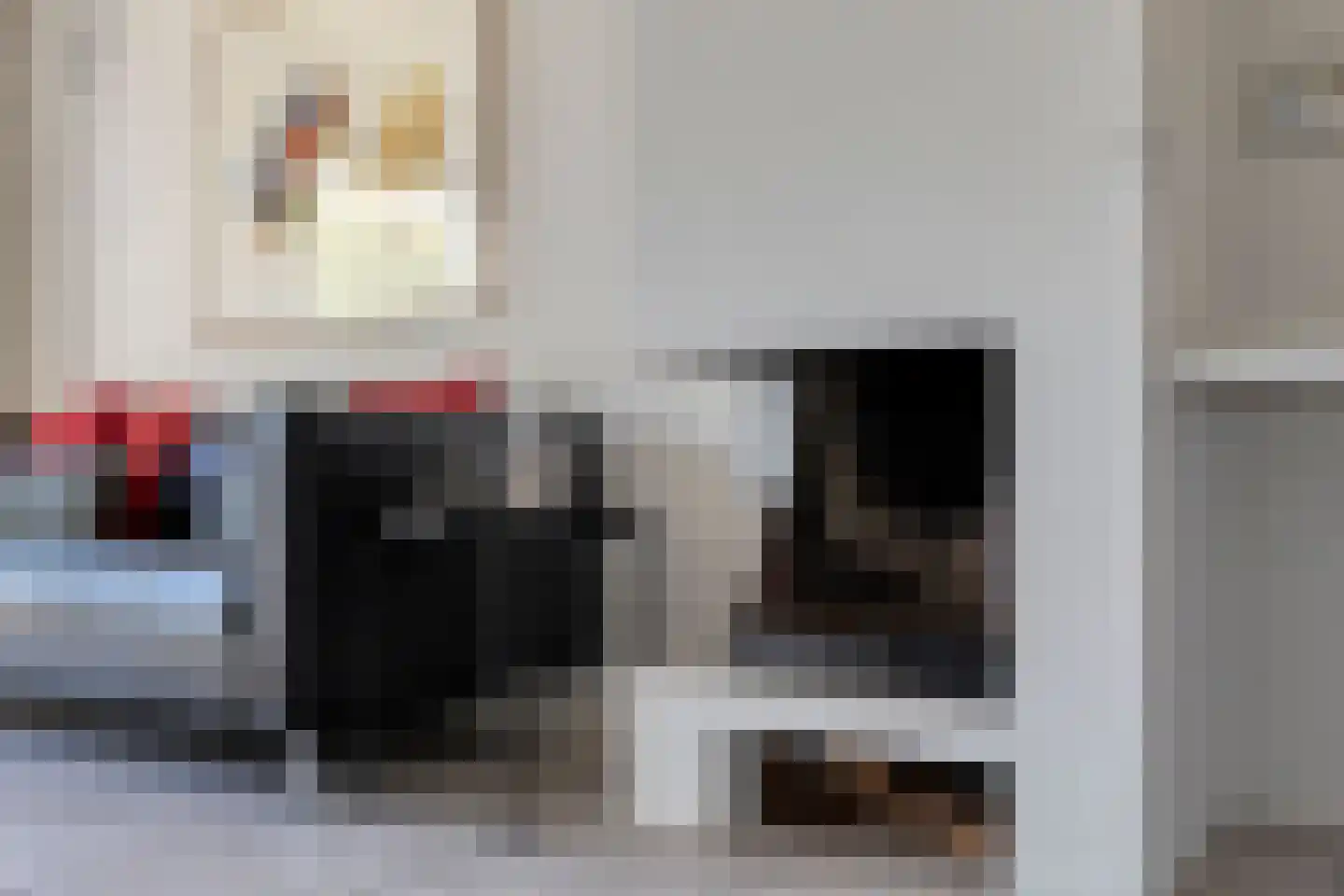 Rietdekker 1 Poortugaal thumbnail 6