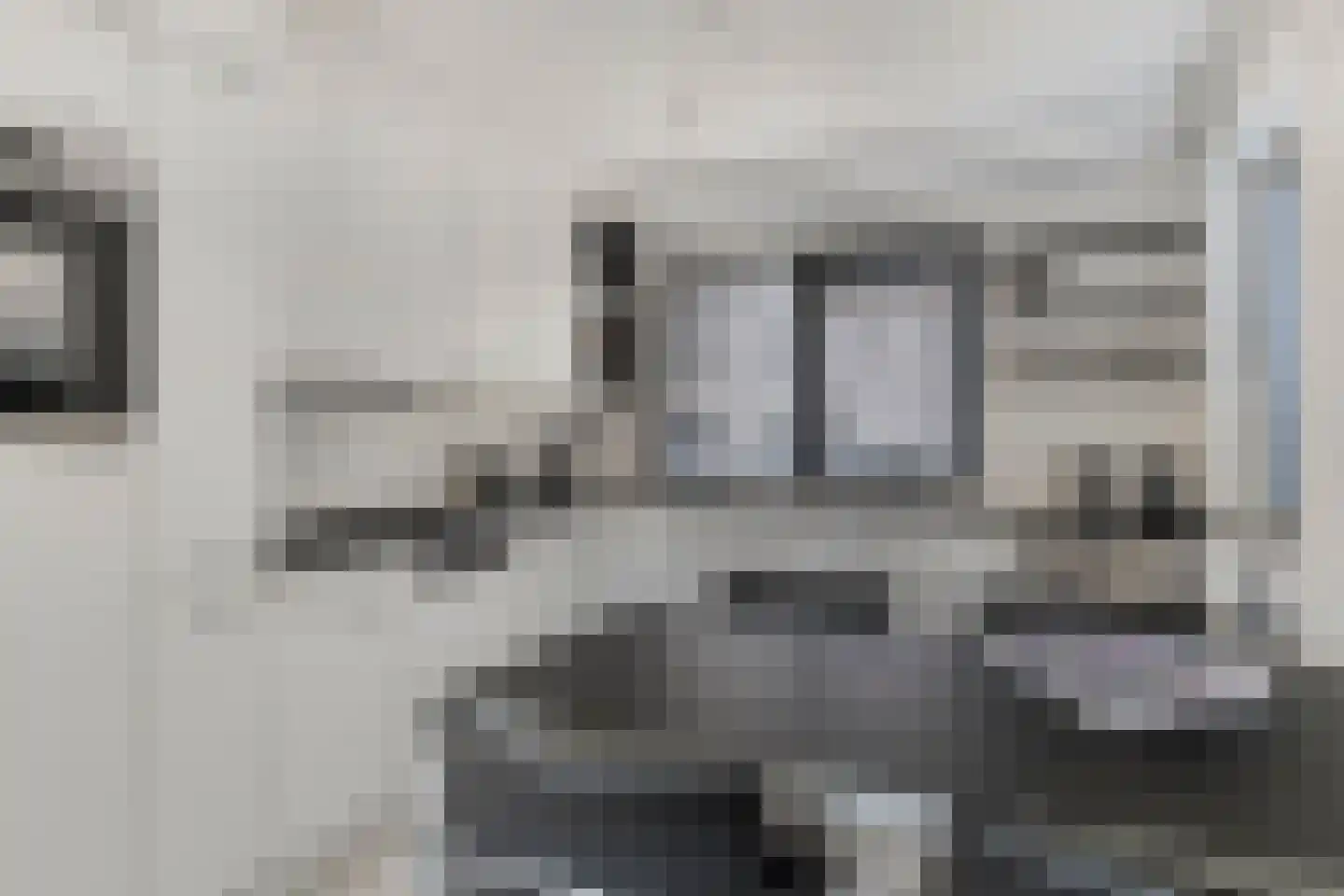 Rietdekker 1 Poortugaal thumbnail 9