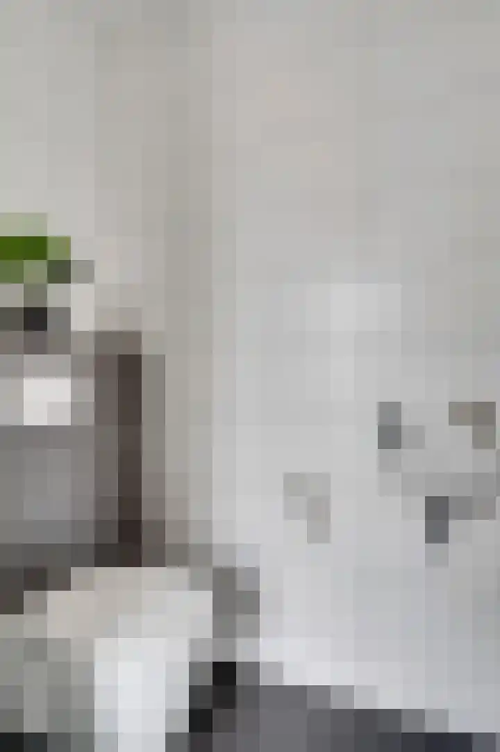 Rietdekker 12 Nederweert thumbnail 10