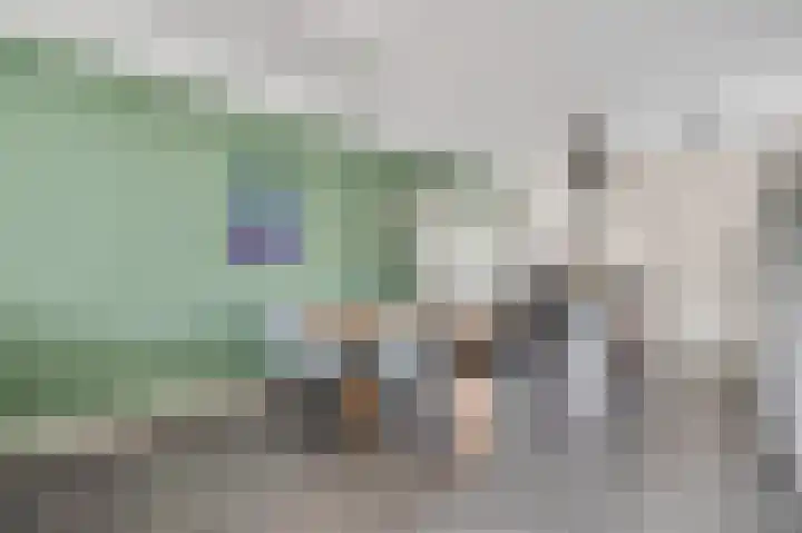 Rietdekker 12 Nederweert thumbnail 11