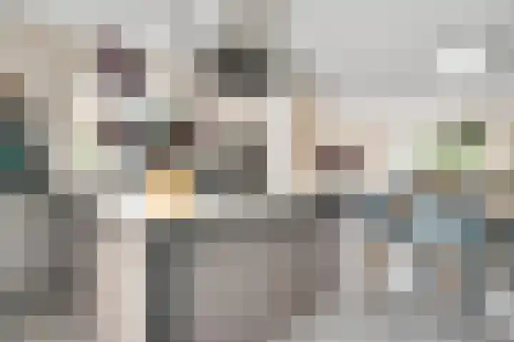 Rietdekker 12 Nederweert thumbnail 12