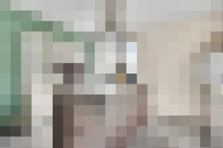 Rietdekker 12 Nederweert thumbnail 13