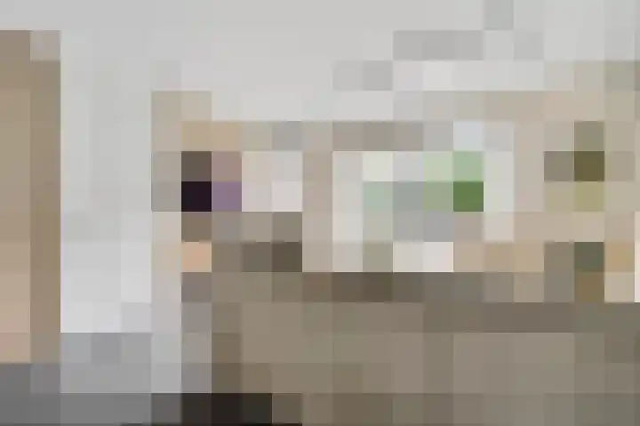 Rietdekker 12 Nederweert thumbnail 14