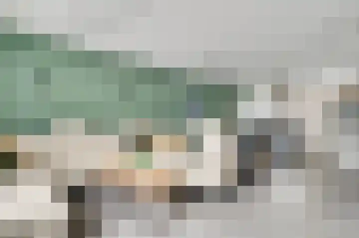 Rietdekker 12 Nederweert thumbnail 15