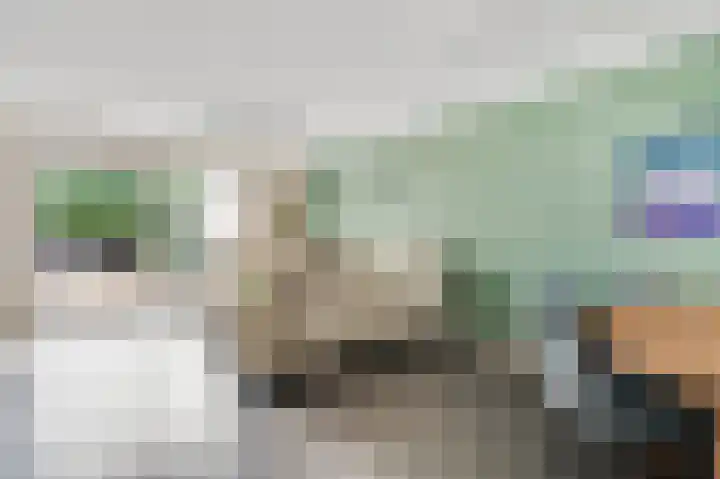 Rietdekker 12 Nederweert thumbnail 16