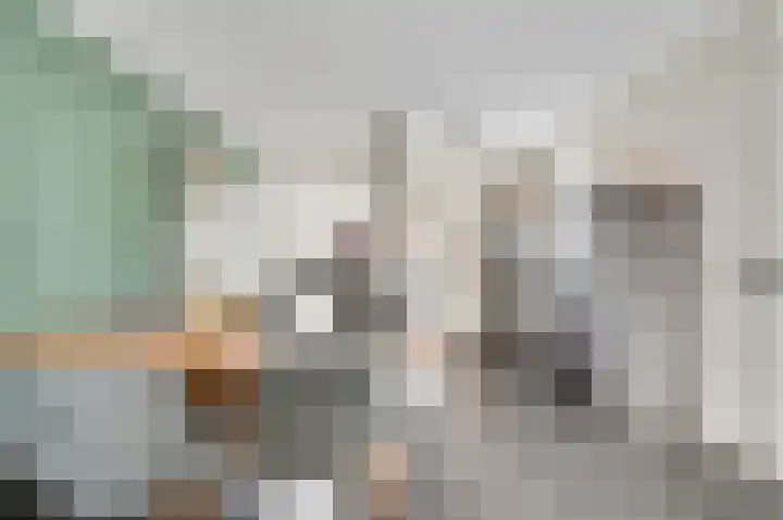 Rietdekker 12 Nederweert thumbnail 17
