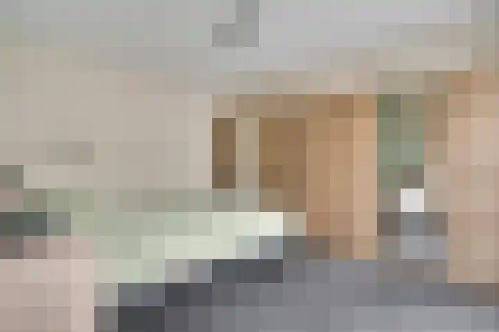Rietdekker 12 Nederweert thumbnail 18