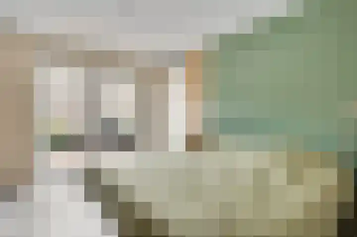 Rietdekker 12 Nederweert thumbnail 19