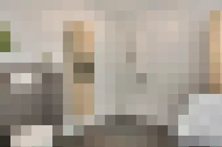 Rietdekker 12 Nederweert thumbnail 20