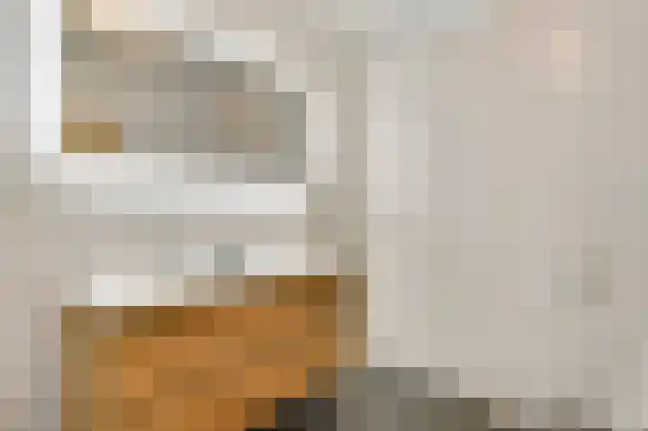 Rietdekker 12 Nederweert thumbnail 21