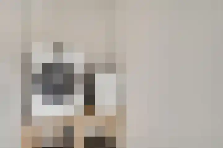 Rietdekker 12 Nederweert thumbnail 24