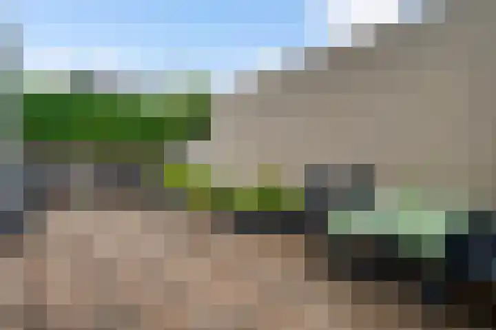 Rietdekker 12 Nederweert thumbnail 25