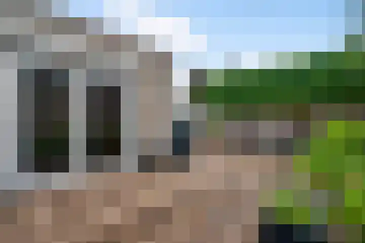 Rietdekker 12 Nederweert thumbnail 26