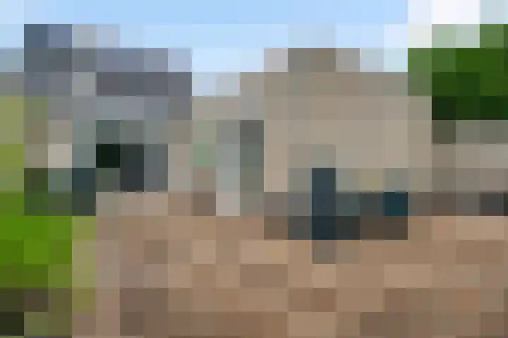 Rietdekker 12 Nederweert thumbnail 27