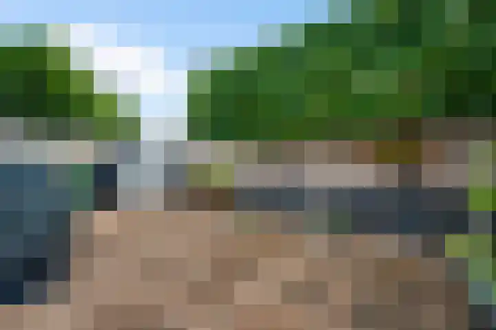 Rietdekker 12 Nederweert thumbnail 28