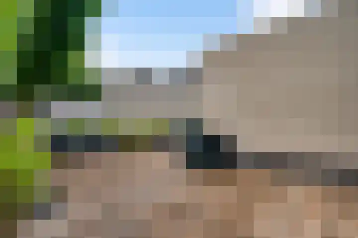 Rietdekker 12 Nederweert thumbnail 29