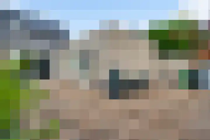 Rietdekker 12 Nederweert thumbnail 30