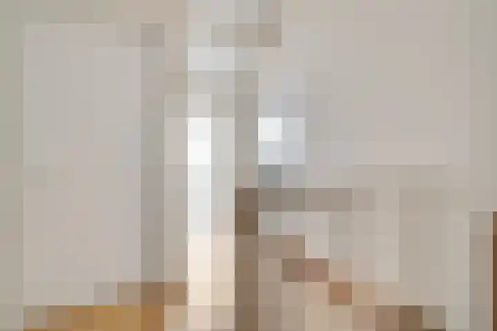 Rietdekker 12 Nederweert thumbnail 31