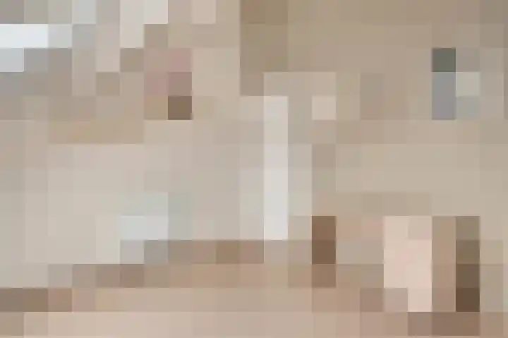 Rietdekker 12 Nederweert thumbnail 32