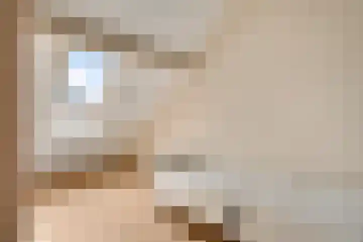Rietdekker 12 Nederweert thumbnail 33