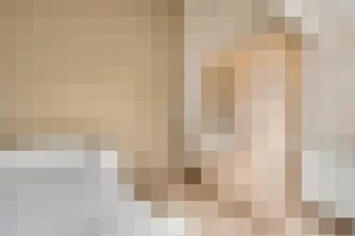 Rietdekker 12 Nederweert thumbnail 34