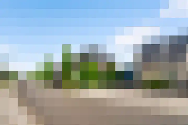Rietdekker 12 Nederweert thumbnail 5