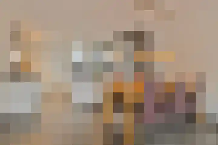 Rietdekker 21 Nederweert thumbnail 10
