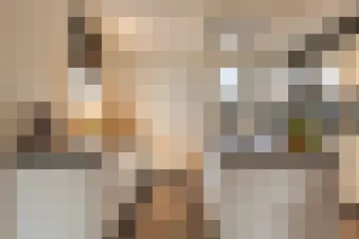 Rietdekker 21 Nederweert thumbnail 11