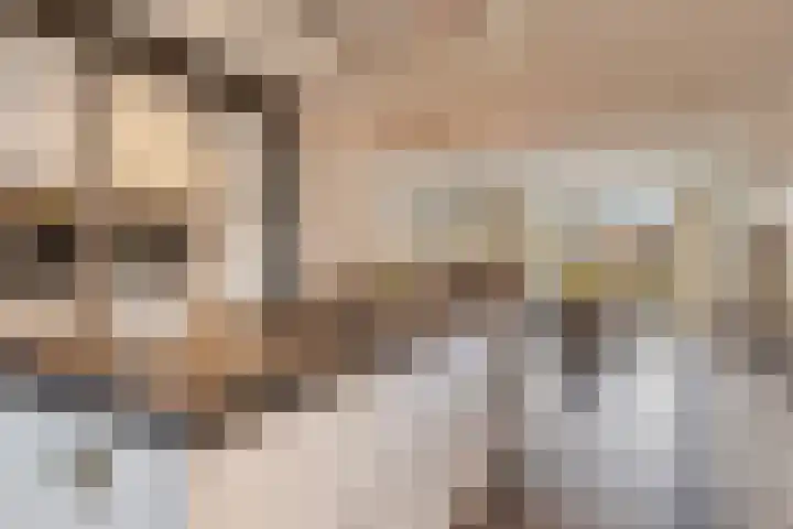 Rietdekker 21 Nederweert thumbnail 13