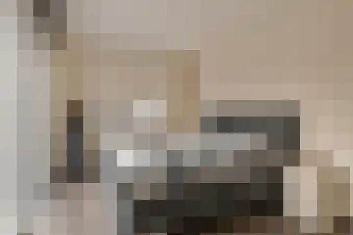 Rietdekker 21 Nederweert thumbnail 16