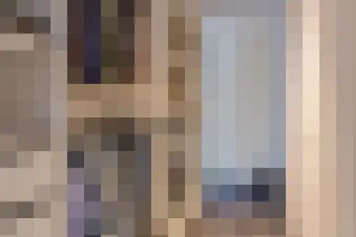 Rietdekker 21 Nederweert thumbnail 18