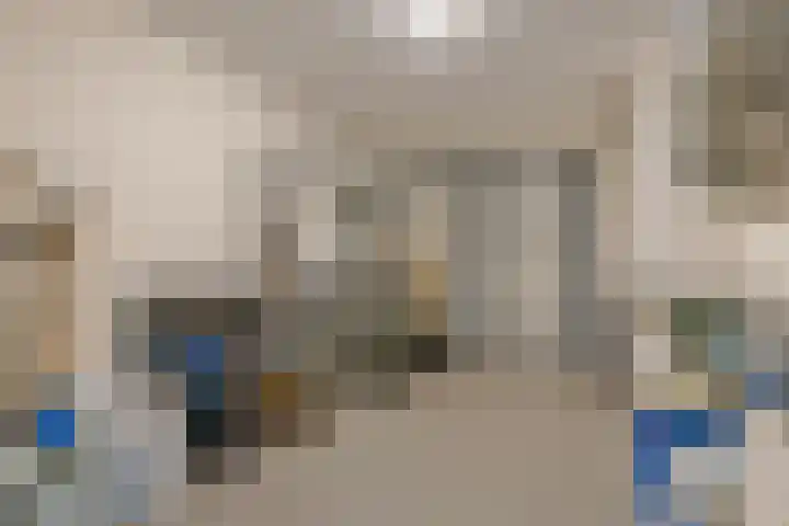 Rietdekker 21 Nederweert thumbnail 23