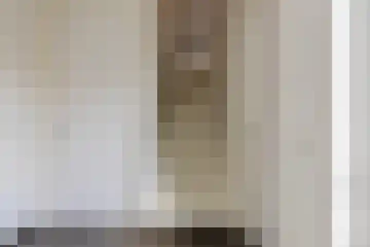 Rietdekker 21 Nederweert thumbnail 25