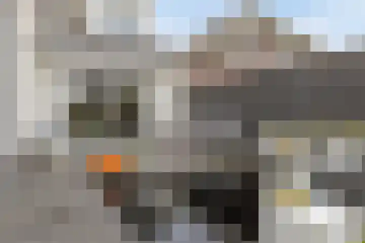 Rietdekker 21 Nederweert thumbnail 30